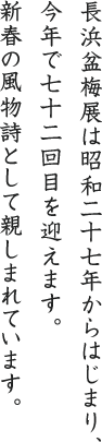 長浜盆梅展は昭和二十七年からはじまり、今年で七十二回目を迎えます。新春の風物詩として親しまれています。