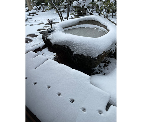 須賀谷温泉賞「足跡」