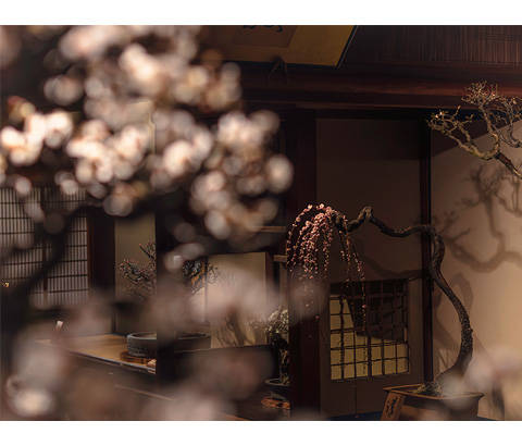 琵琶湖汽船賞「お疲れ様」