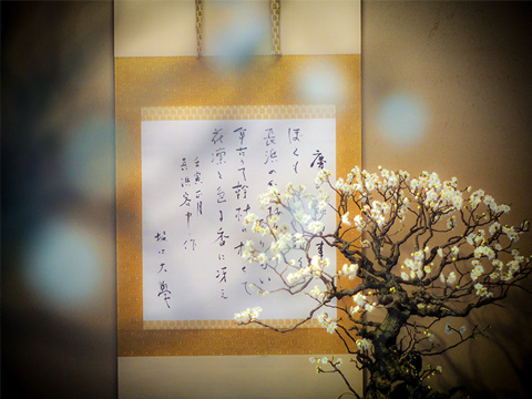 インスタグラム賞「花凛と」