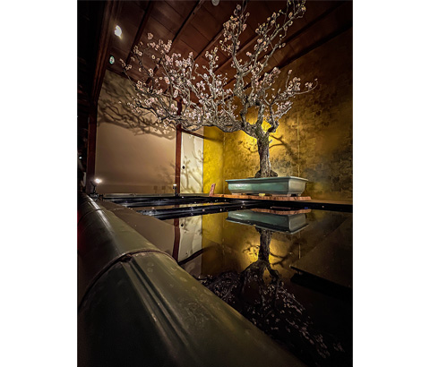 インスタグラム賞「梅リフレ」