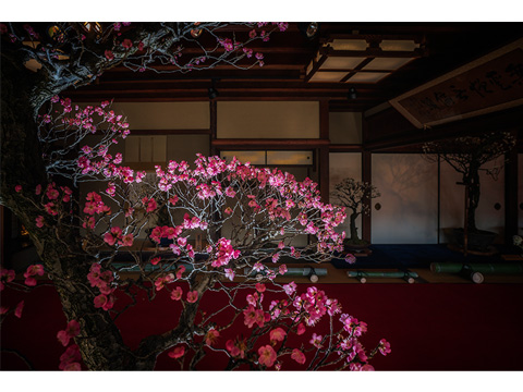 朝日新聞社賞「疑似夜景」