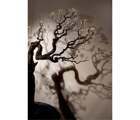 中日新聞社賞「梅の香り漂う」