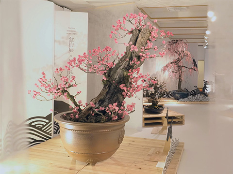 京都新聞賞「輝く明日へ」