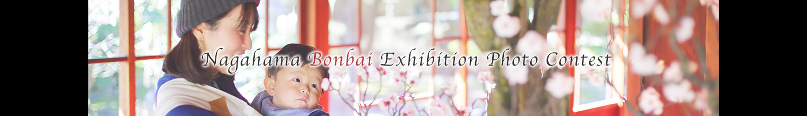 長浜盆梅展フォトコンテスト