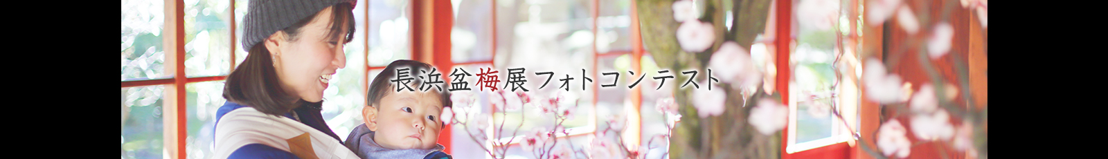 長浜盆梅展フォトコンテスト