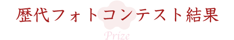 歴代フォトコンテスト結果