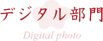 デジタル部門